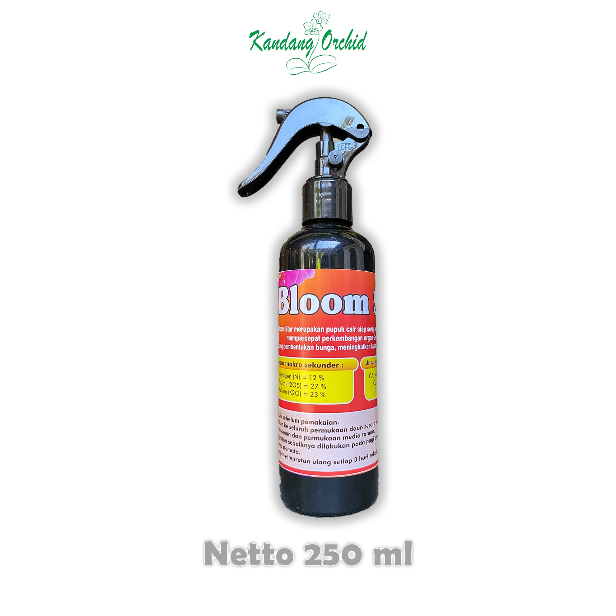 Bloom Star Siap Pakai