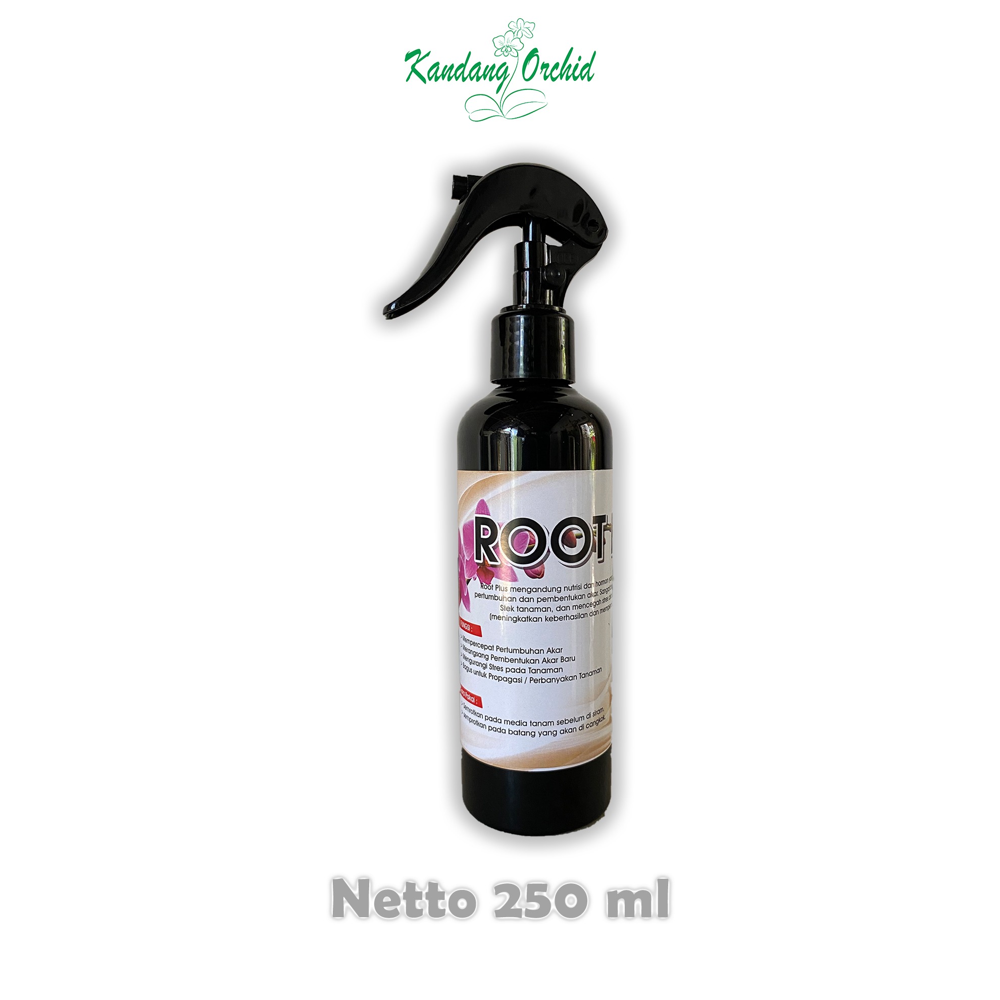 ROOT PLUS
