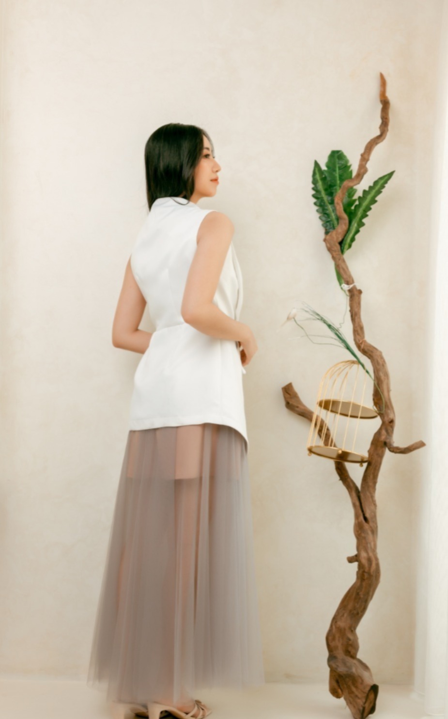 Brids Sparrow Outer