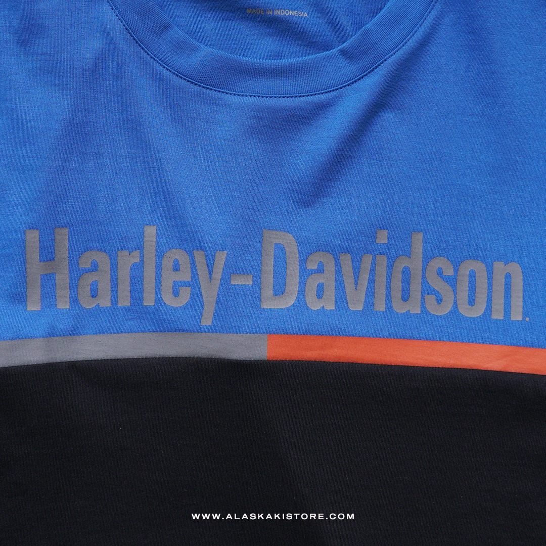 Long Sleeve Printed Tee Blue HD4002
