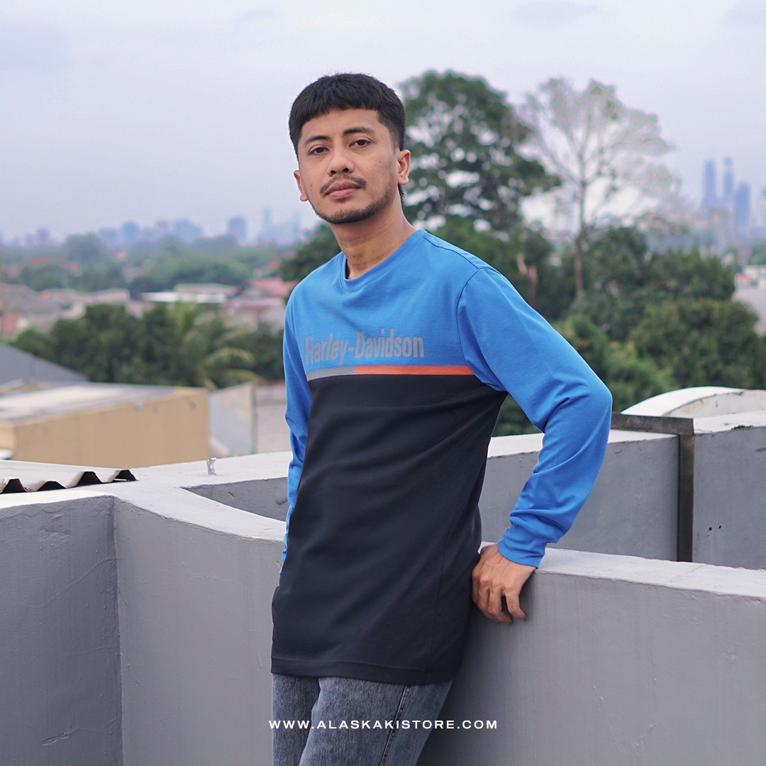 Long Sleeve Printed Tee Blue HD4002
