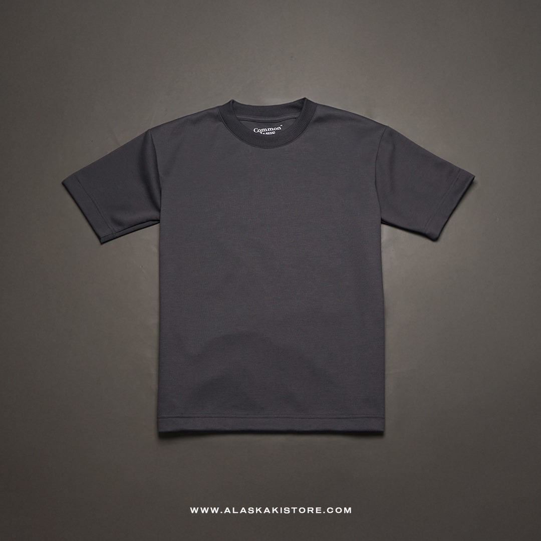 Cotton Blend Heavyweight Oversized Tshirt by Common Issue Grey CI4051