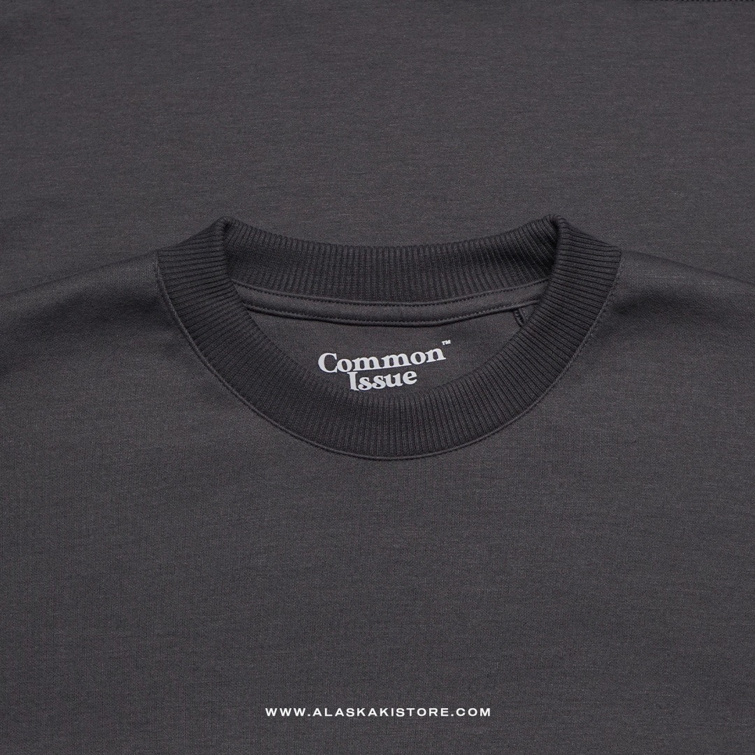Cotton Blend Heavyweight Oversized Tshirt by Common Issue Grey CI4051
