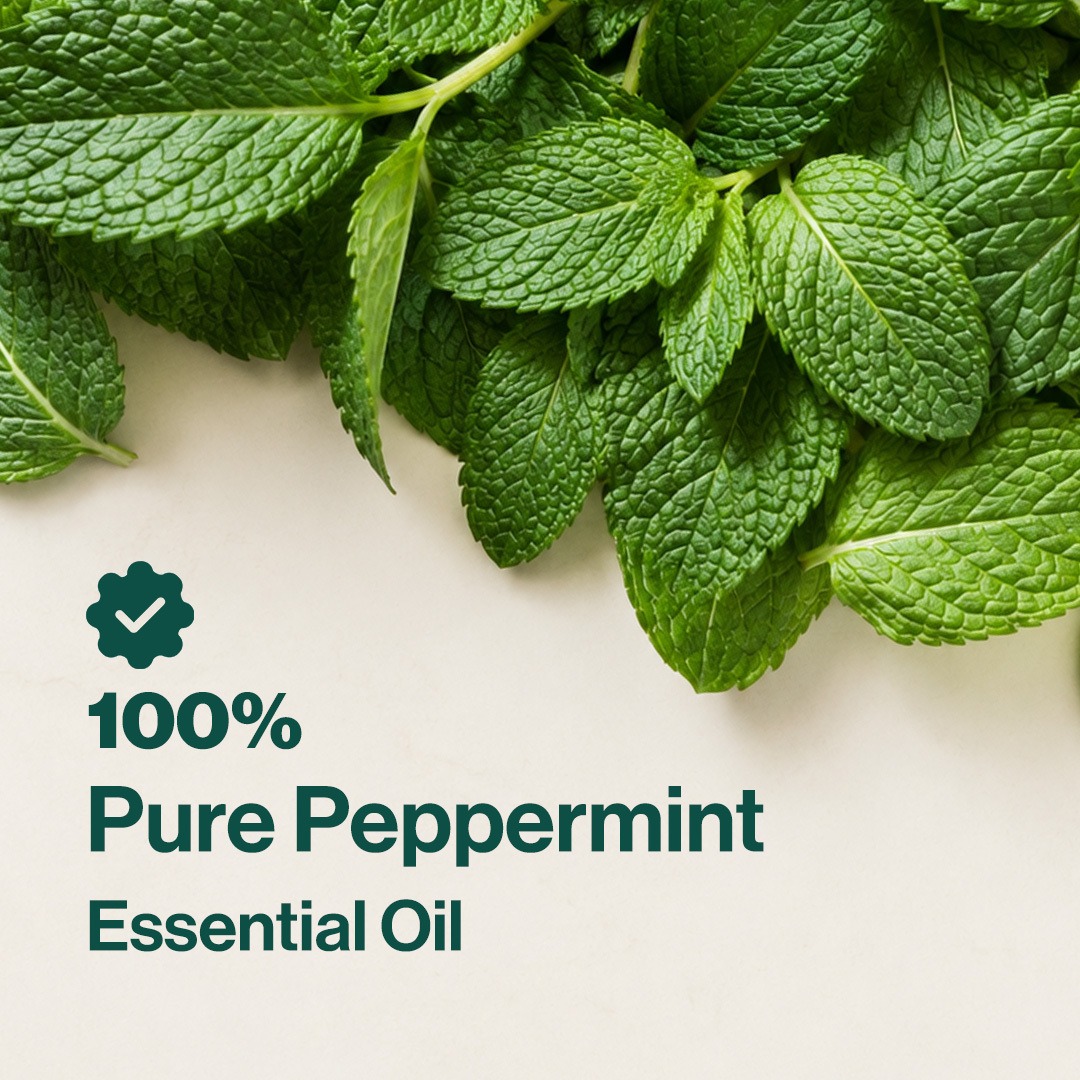 CAPSEN Pure Peppermint Essential Oil Aromatherapy Minyak Esensial