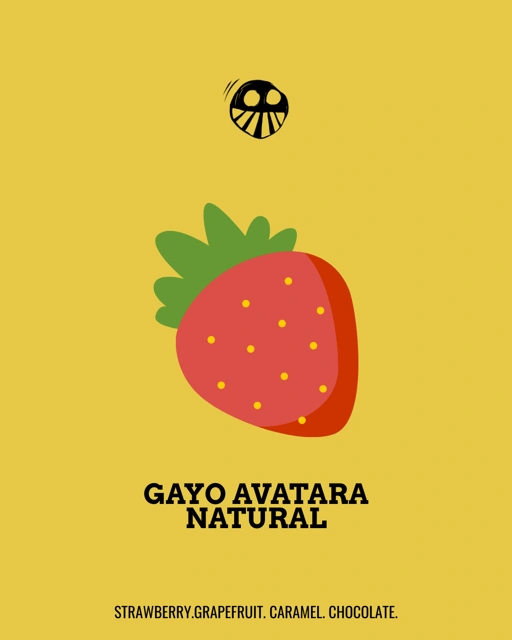 Image of Gayo Avatara Classic Natural