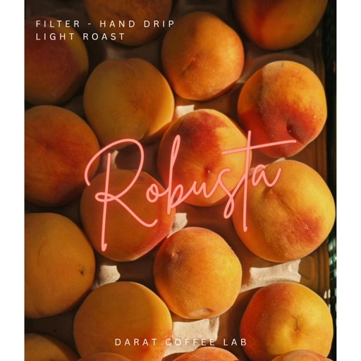 Image of Filter Roast Sintok Robusta Series 