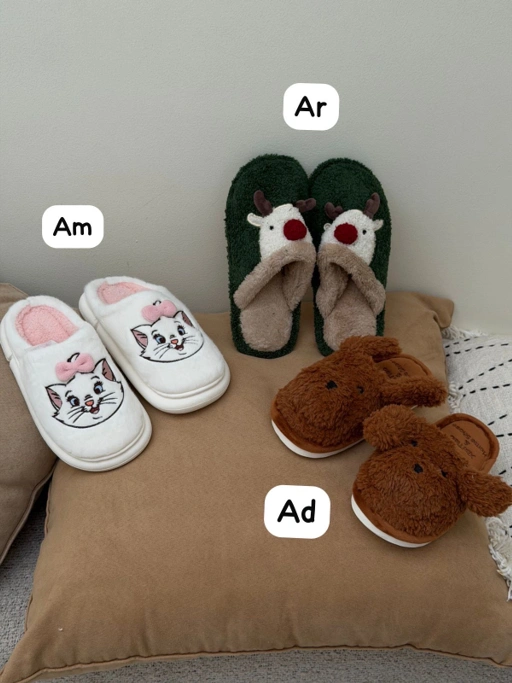 Image of Slippers -002