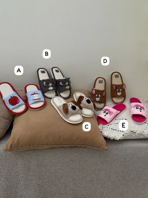 Image of Slippers -004