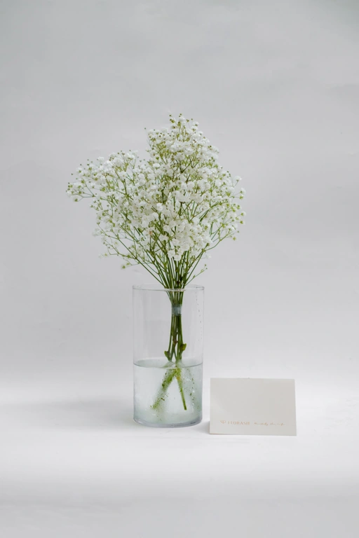 Image of US Baby Breath Bunch