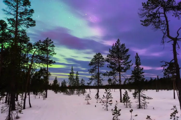 Beautiful Aurora