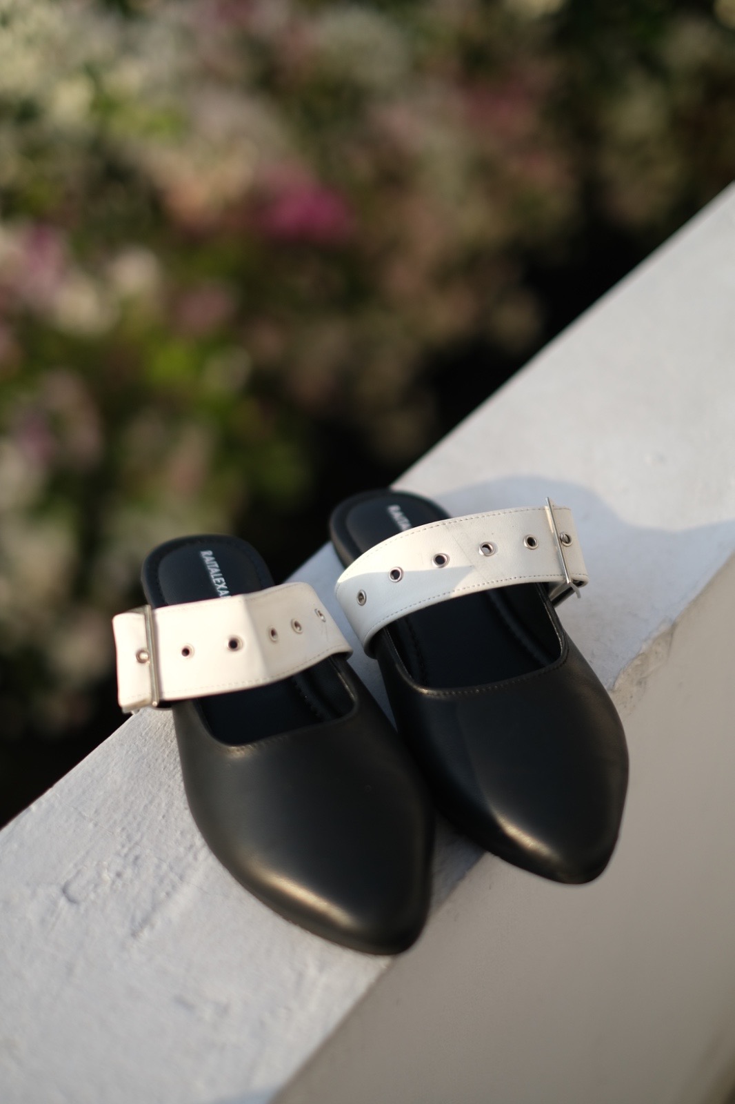 Lovita Black