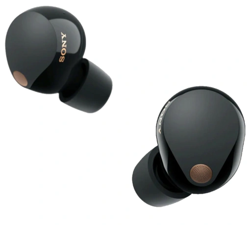 Image of WF-1000XM5 Earbuds