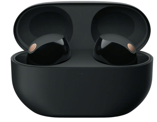 WF-1000XM5 Earbuds