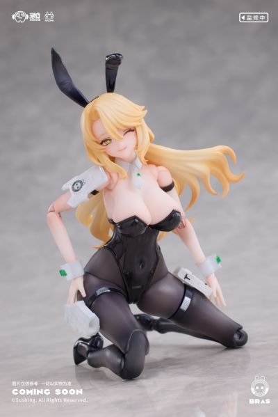 Bunny Rapid Action Squad 1/12 Action Figure Shieldbearer Erena By Sushing