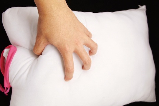 Dakimakura Insert cushion pillow core (50cm x 35cm) By Tamatoys