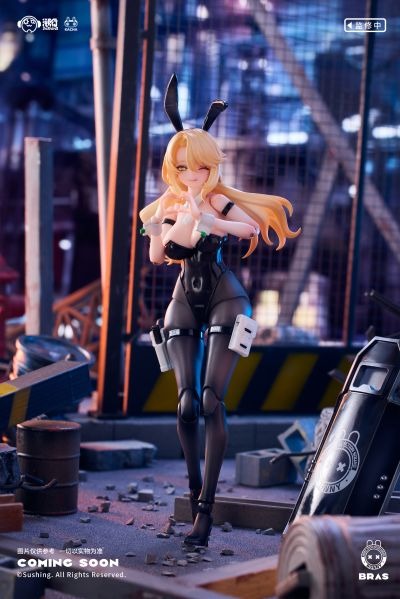 Bunny Rapid Action Squad 1/12 Action Figure Shieldbearer Erena By Sushing