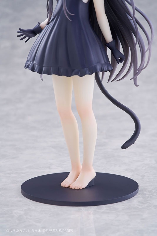 Scaled Figure 1/7 Noir - Hoshizora Tetsudou to Shiro no Tabi Illustration by Shiratama By Sundrops
