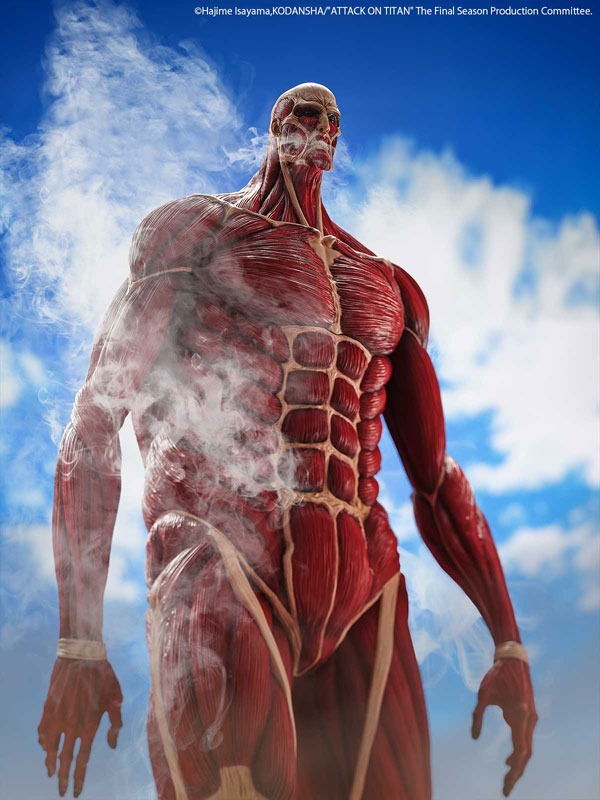 Mega Sofvi / Soft Vinyl Colossal Titan / Chou-ougata Kyojin - Shingeki no Kyojin (63cm) By Kaiyodo