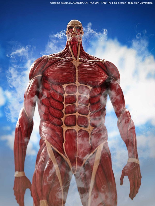 Mega Sofvi / Soft Vinyl Colossal Titan / Chou-ougata Kyojin - Shingeki no Kyojin (63cm) By Kaiyodo