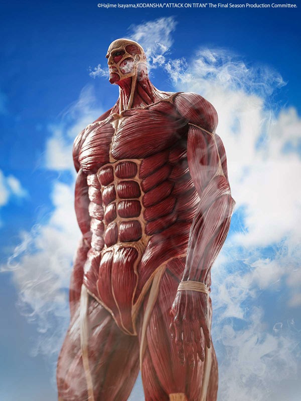 Mega Sofvi / Soft Vinyl Colossal Titan / Chou-ougata Kyojin - Shingeki no Kyojin (63cm) By Kaiyodo
