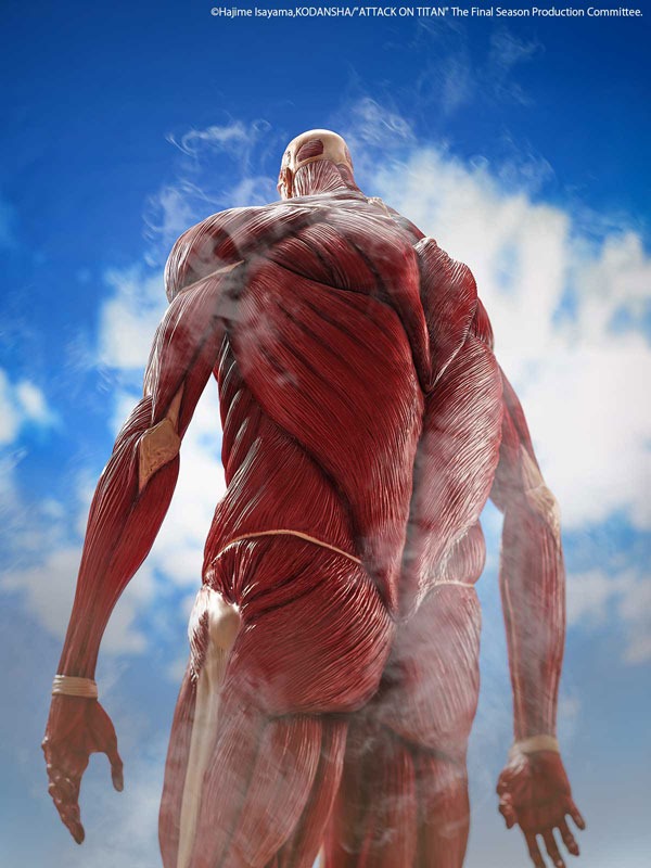 Mega Sofvi / Soft Vinyl Colossal Titan / Chou-ougata Kyojin - Shingeki no Kyojin (63cm) By Kaiyodo