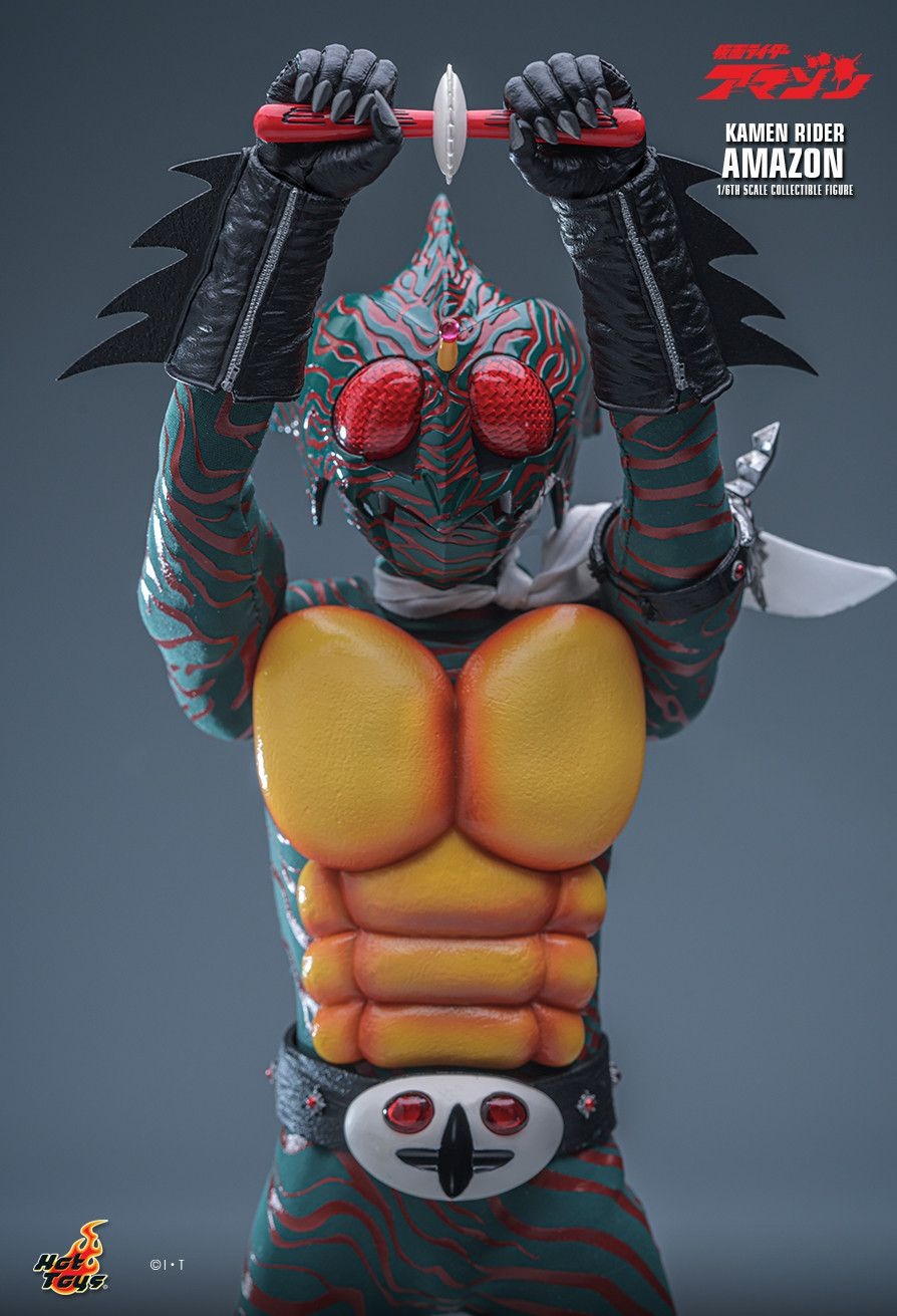 Action Figure 1/6 Kamen Rider Amazon - Kamen Rider By Hot Toys TMS184