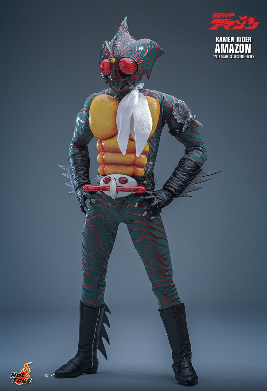 Action Figure 1/6 Kamen Rider Amazon - Kamen Rider By Hot Toys TMS184