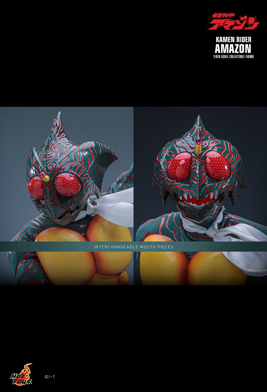 Action Figure 1/6 Kamen Rider Amazon - Kamen Rider By Hot Toys TMS184