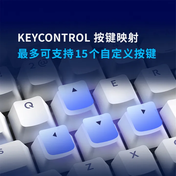 Kamisato Ayaka Customized Model Genshin Impact x Logitech G517 Wireless Gaming Mechanical Keyboard By Logitech
