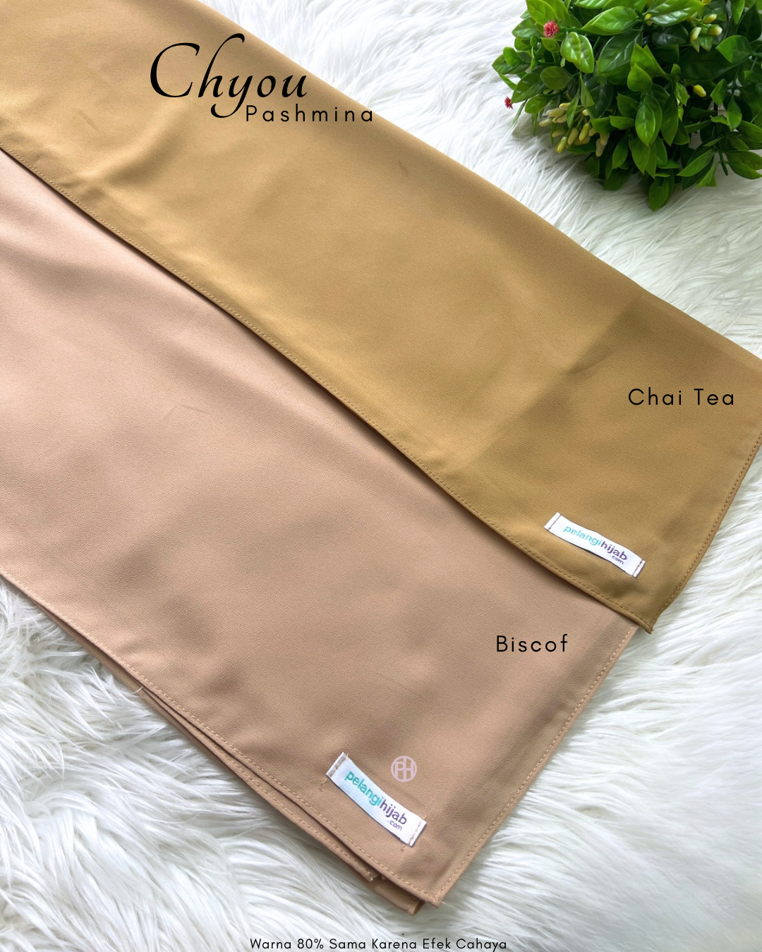 Pashmina Chyou