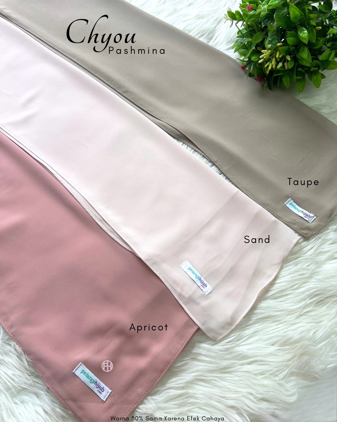 Pashmina Chyou