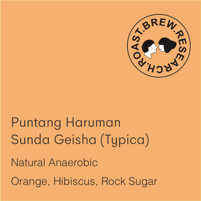 Puntang Haruman