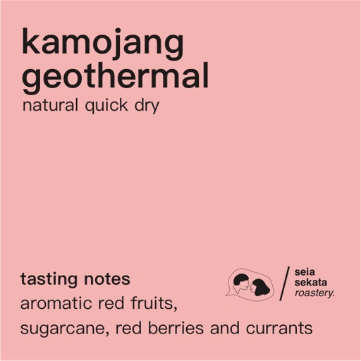 Image of Kamojang Geothermal Natural Quick Dry