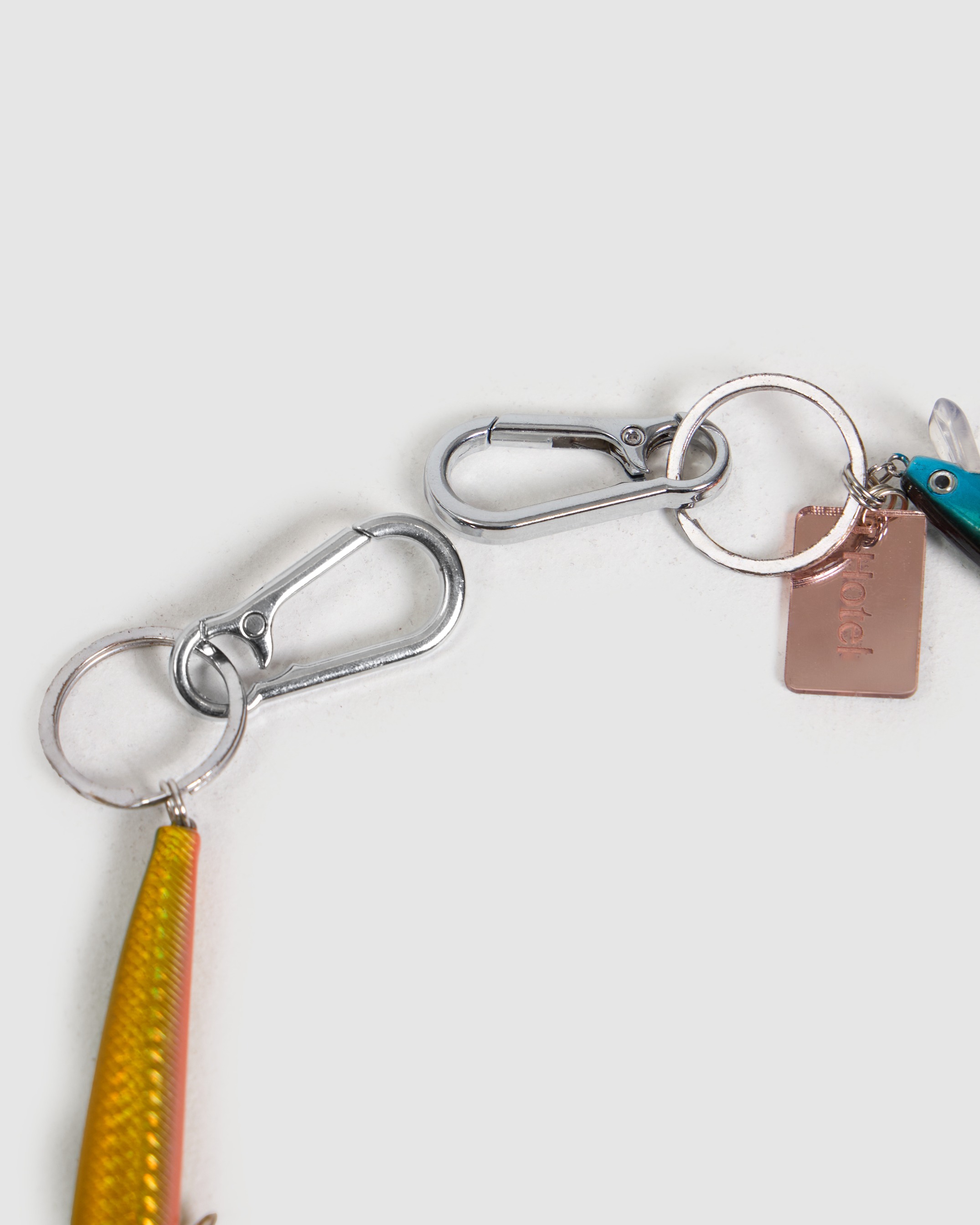 Fish Wallet Chain