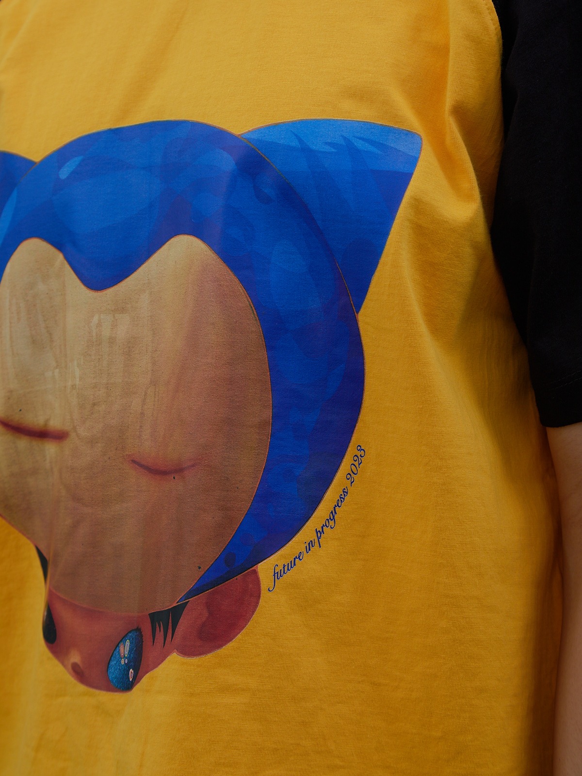 Snorlax Raglan Tee