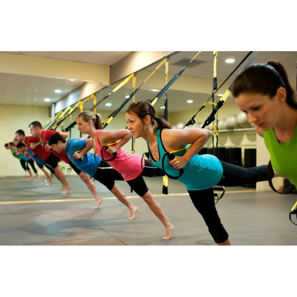 Power Suspension Training Pro / Resistance Exercise Belt / Resistance Excercise Pro 5 / Alat Olahraga / TRX PRO P5