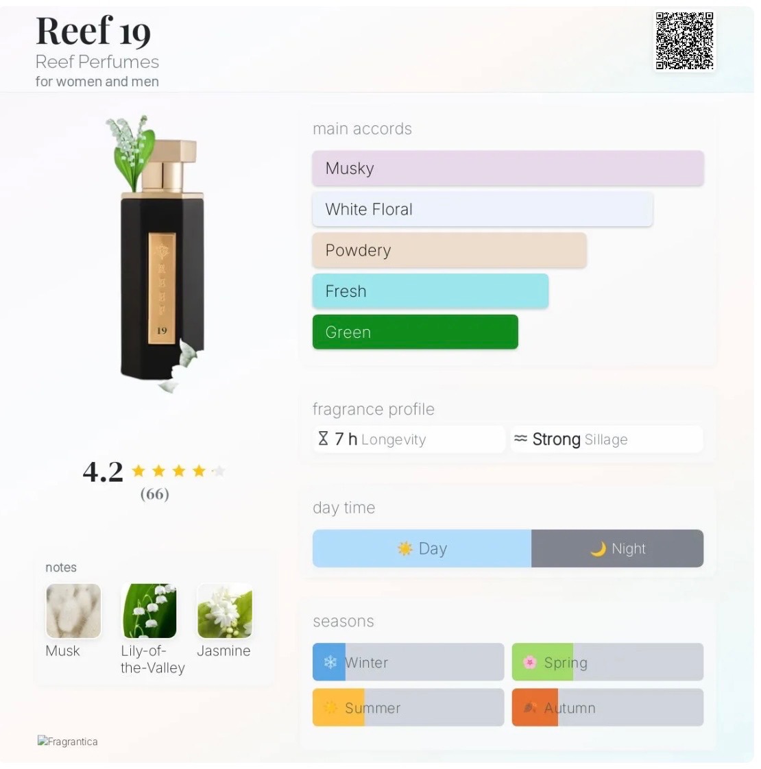 Decant Reef Parfume ORIGINAL EDP