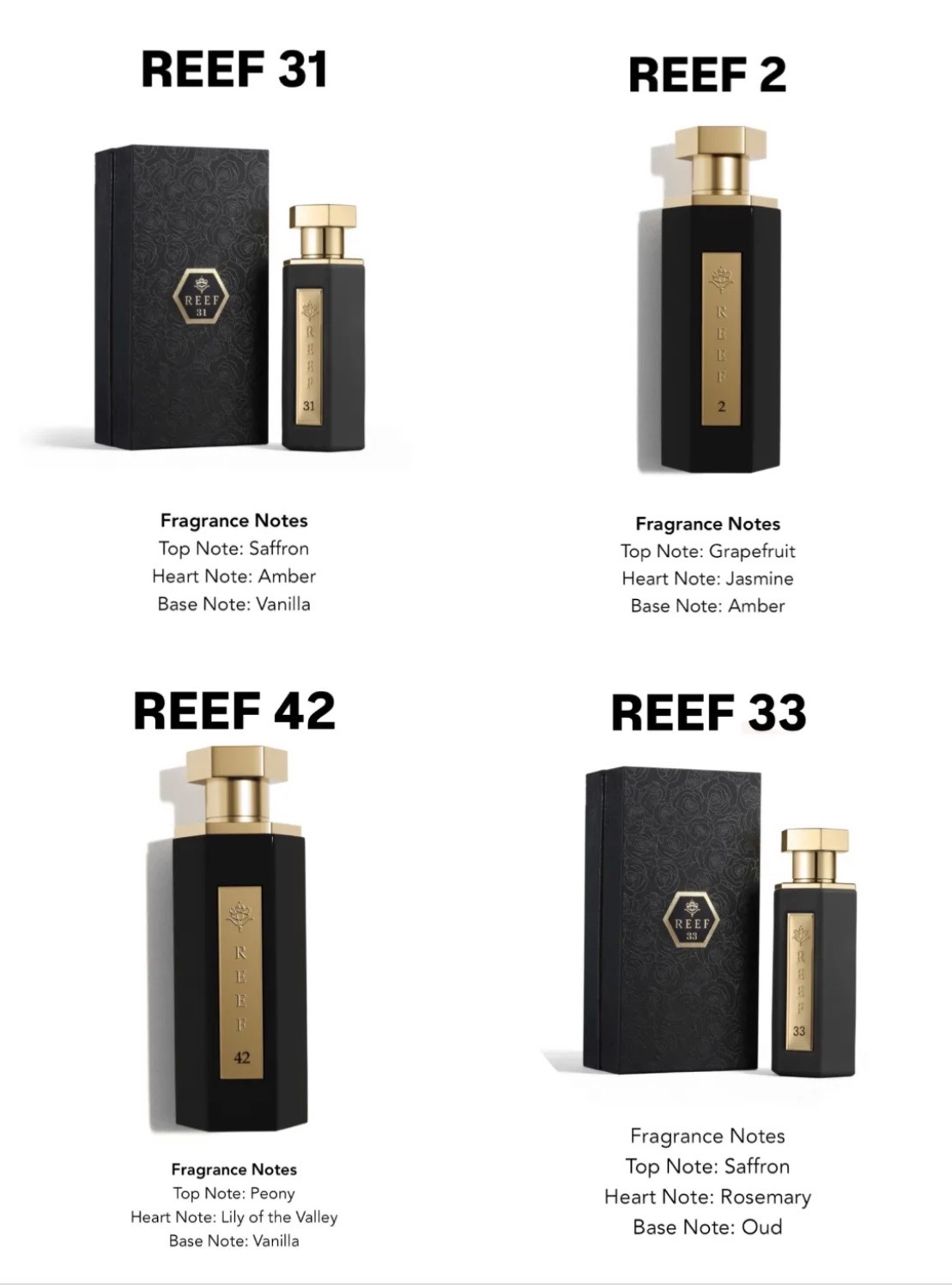 Decant Reef Parfume ORIGINAL EDP