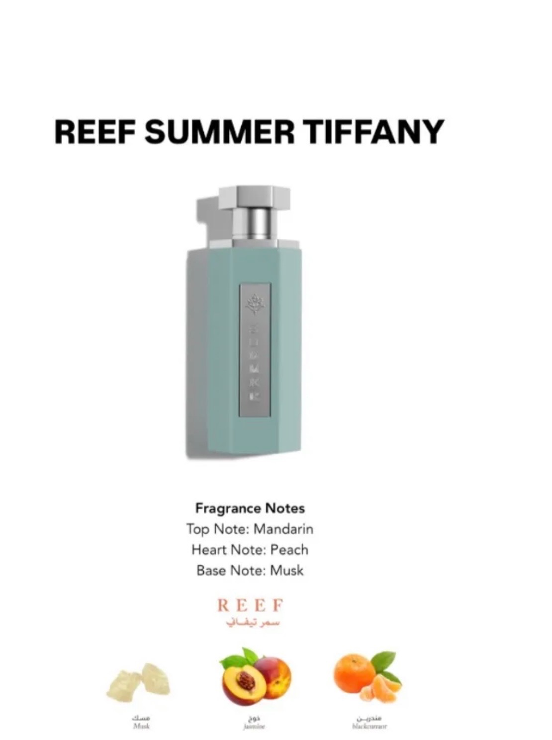 Decant Reef Parfume ORIGINAL EDP