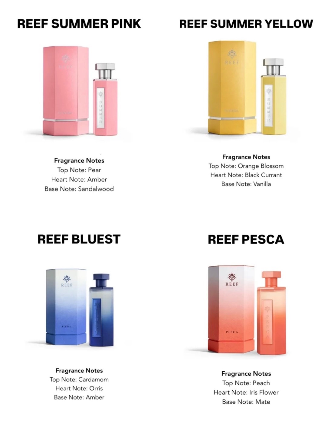 Reef Parfume EDP 100ml ORIGINAL