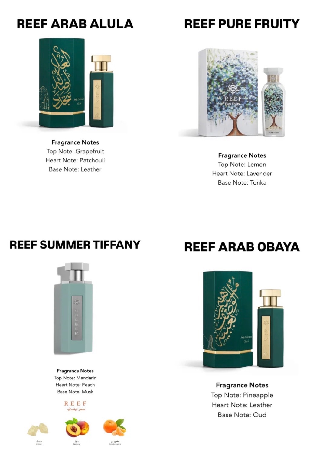 Reef Parfume EDP 100ml ORIGINAL