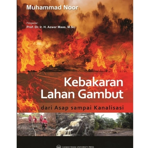Image of Kebakaran Lahan Gambut: Dari Asap Sampai Kanalisasi - UGM Press