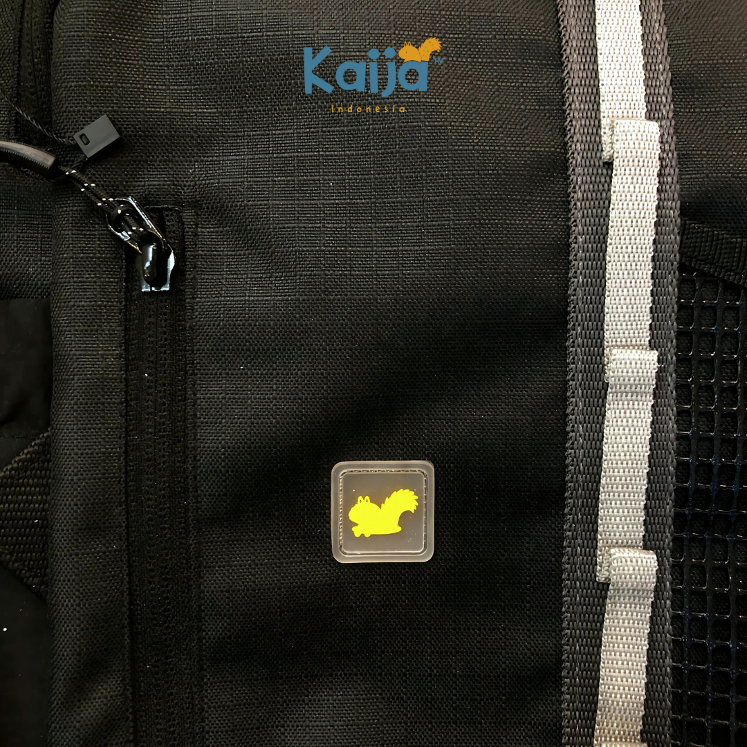 Himalaya Kids Bag