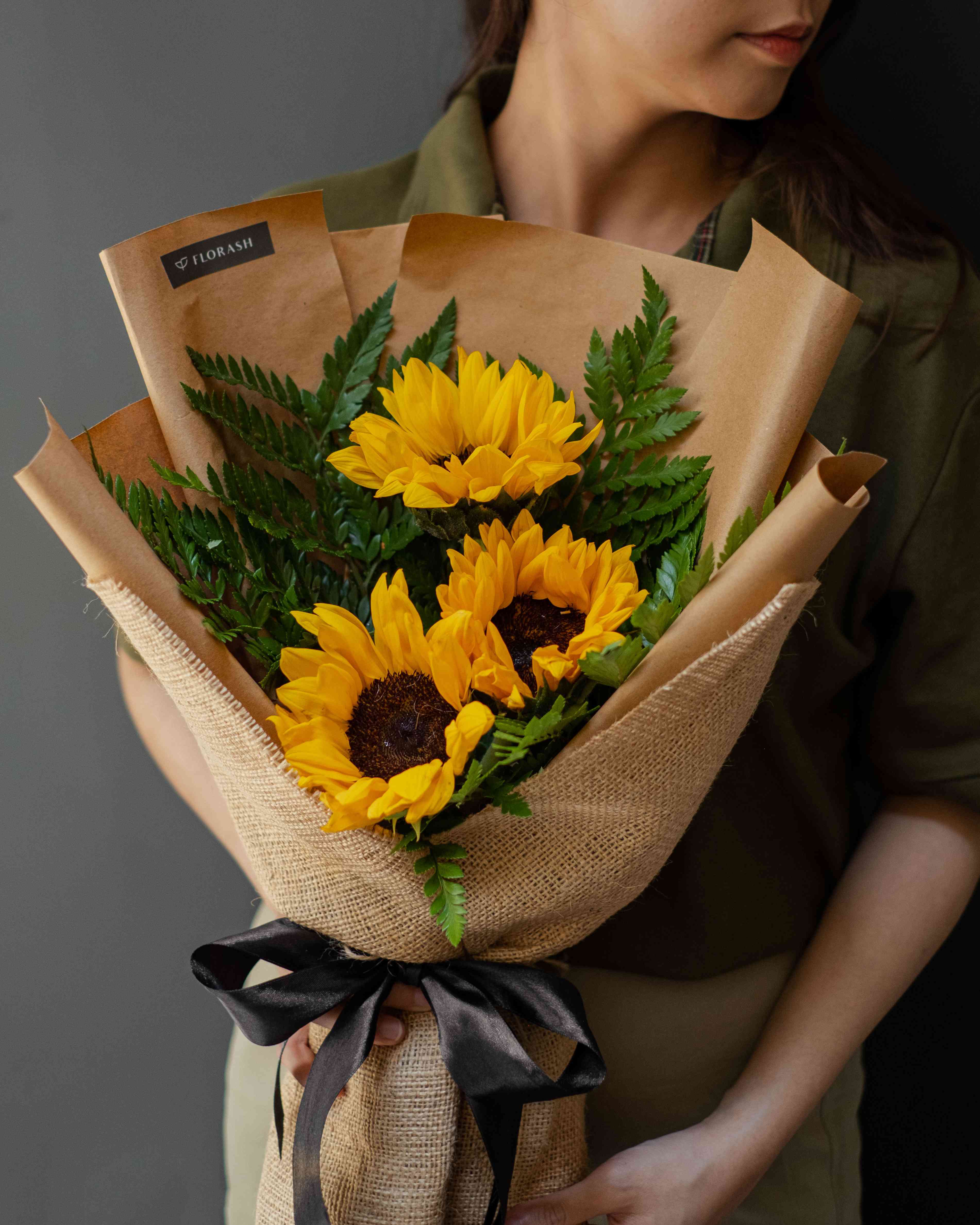 Helianthus HB Medium