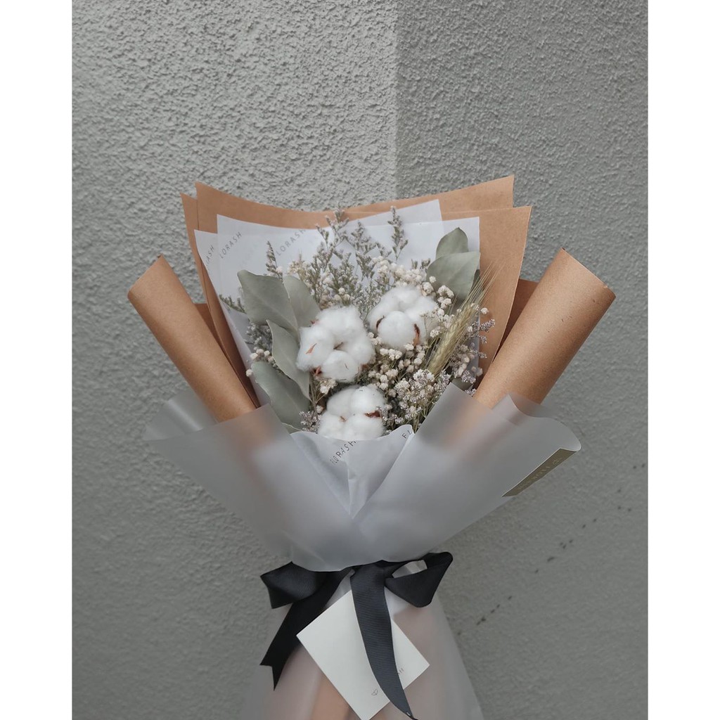 Cotton Populus HB Small