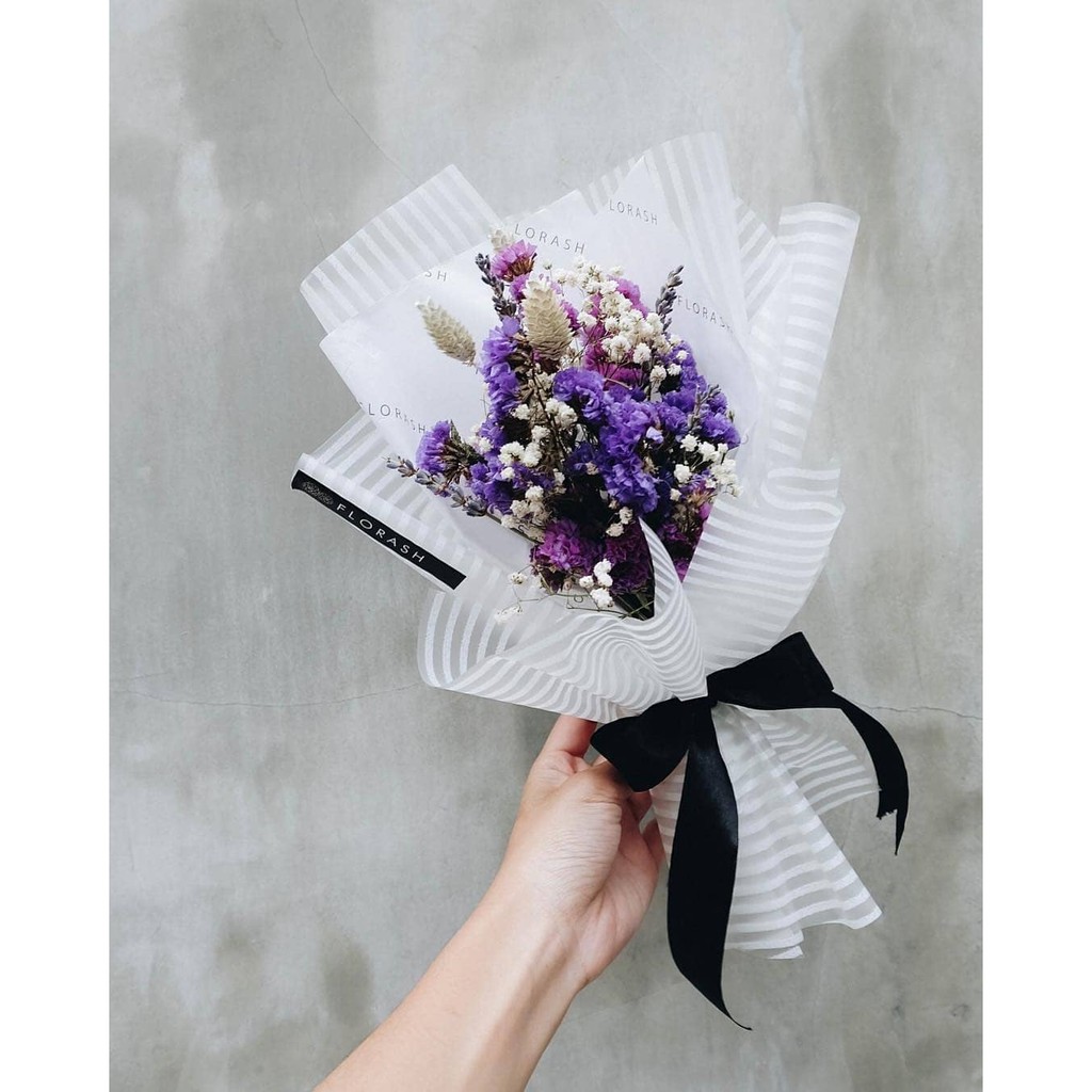 Violet HB Mini