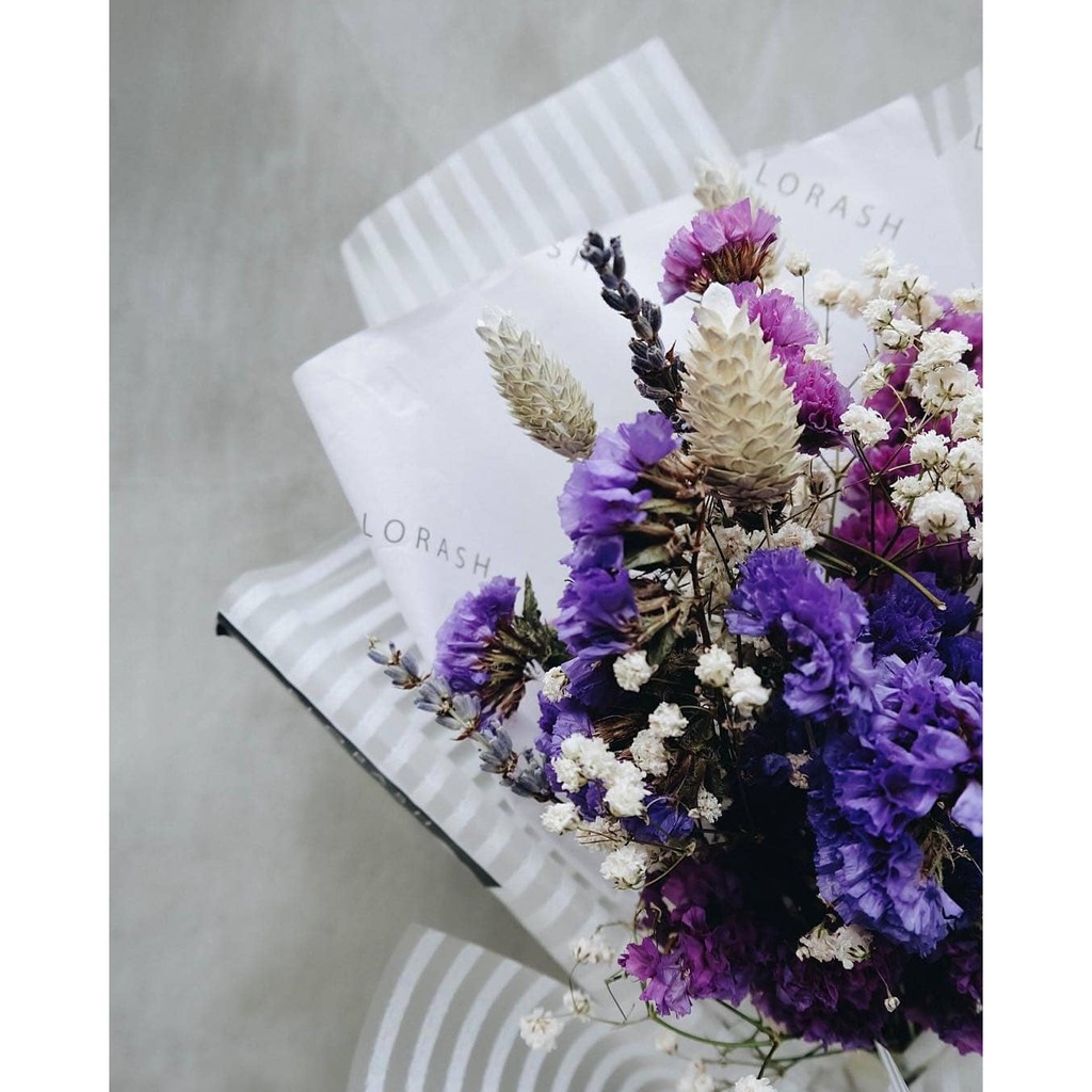 Violet HB Mini