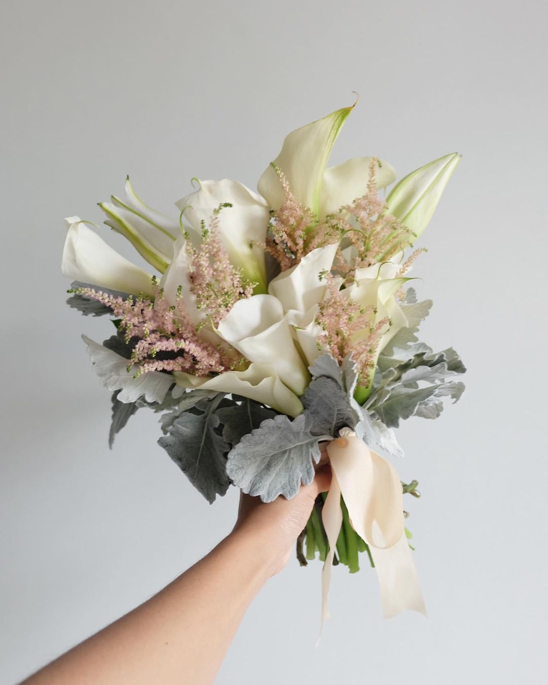 Calla Astilbe HT Medium