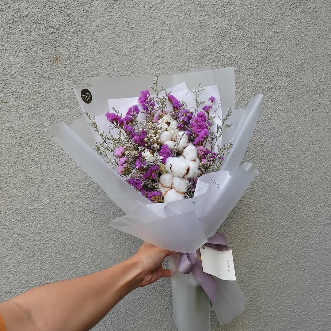 Cotton Violet HB Medium