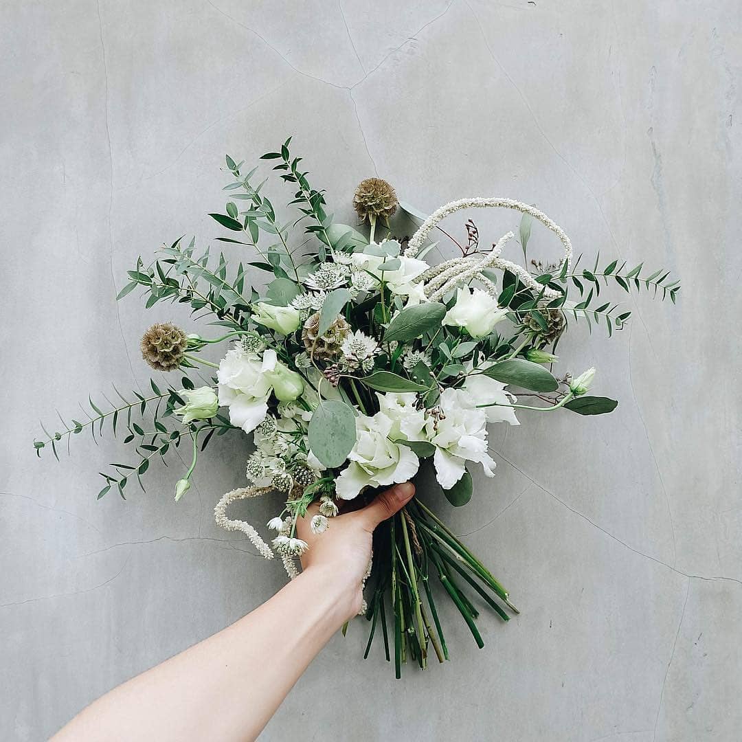 Scabiosa Lisianthus HT Medium